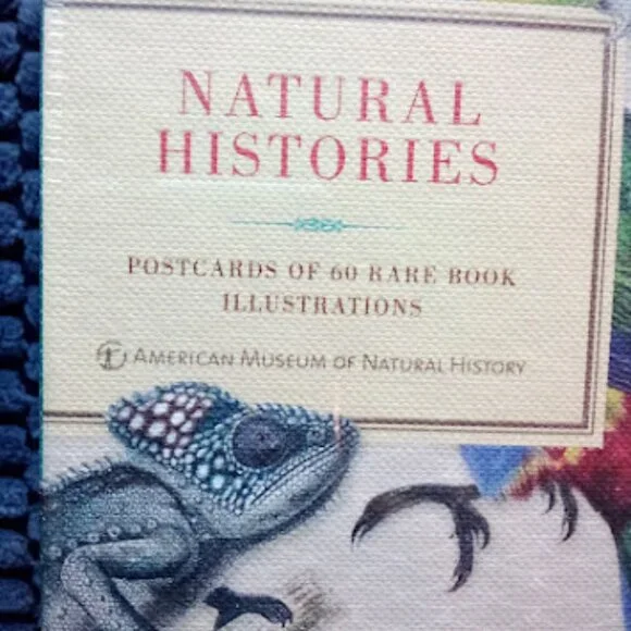 Postcards of 60 Rare Book Illustrations - Picture 2 of 5